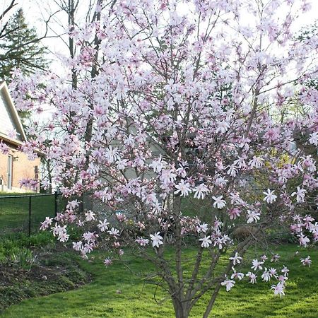 Cayuga Carrousel Bed & Breakfast المظهر الخارجي الصورة