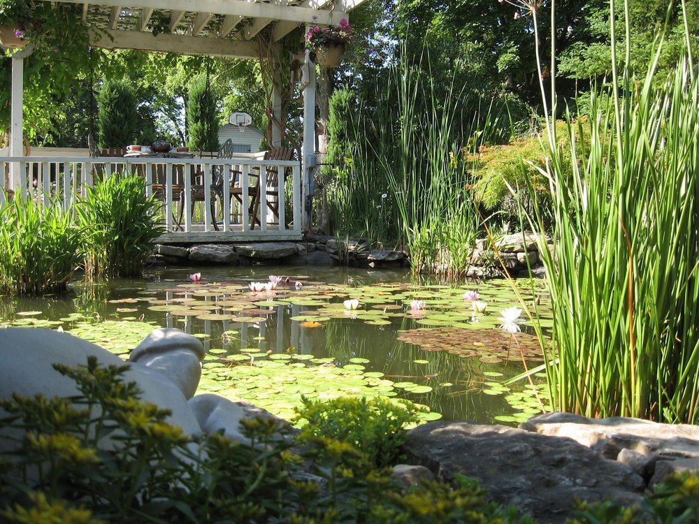 Cayuga Carrousel Bed & Breakfast المظهر الخارجي الصورة
