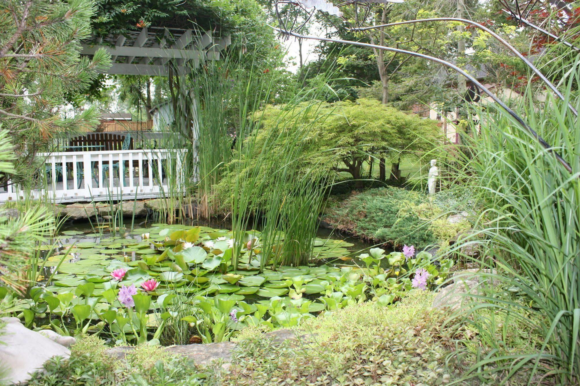 Cayuga Carrousel Bed & Breakfast المظهر الخارجي الصورة